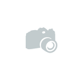 Rosette Spa iX Showerpipe-Wandarm / N